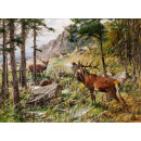 РЕПРОДУКЦИИ НА КАРТИНИ Зовящ елен (1906)